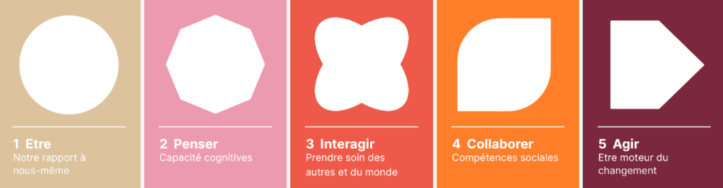 Référentiel IDG : 5 dimensions et 25 compétences