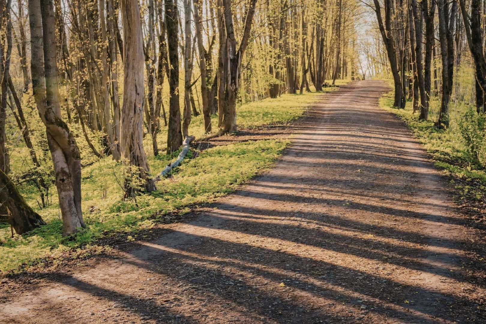 La marche dialoguée